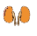 腎科.png